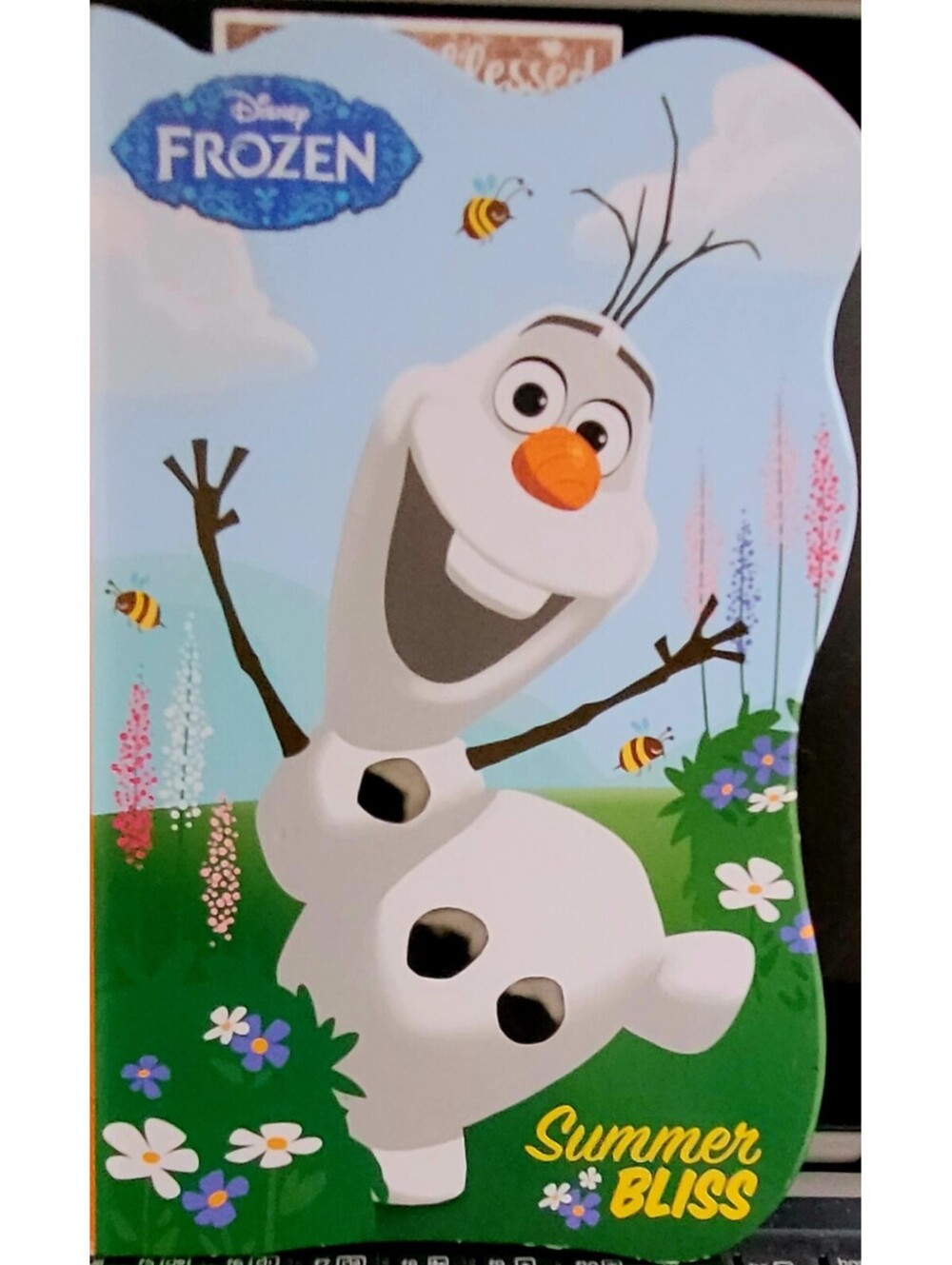 Disney's Frozen - Summer Bliss Kids Hardcover Book Madeleine Grey